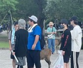 日本网红长期碰瓷中国游客：五人团队、专业设备！