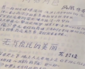 欧洲姑娘用凤凰传奇歌词学中文：喜欢中国文化！