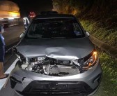 马来西亚一只猛虎横穿马路时被撞死：行车记录仪曝光！
