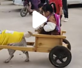 小孩界的劳斯莱斯出现了 网友:别说她同学羡慕了，连我都想上去坐坐！