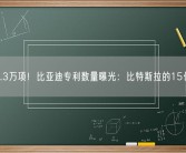 超过1.3万项！比亚迪专利数量曝光：比特斯拉的15倍还多！