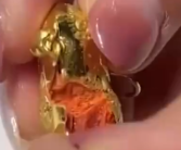 女子剪开黄金锁里面全是蜡 3g金卖10g的价！