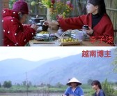 越南模仿李子柒的博主也停更了三年：前段时间刚回归！