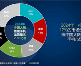 2024中国手机年度销量排名：vivo以17%份额夺魁 连续第4年国产第一 成功靠本分!