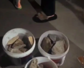 游客为拍蓝眼泪买石头扔海里 到底啥情况