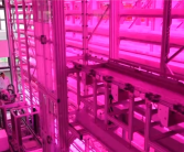 让沙漠成沃土！科学家z轴种菜产量翻100倍！