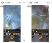 网友发现iPhone能检查虫子 苹果回应：放大器无此功能！