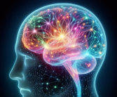 科学家实现光信号穿透完整人脑：深部成像设备研发获突破!