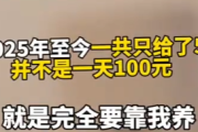 将饭盆扣在妻子脸上！男子质疑妻子两个孩子1天100不够吗？