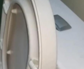 抽水马桶为什么不出水了（轻松解决马桶按钮不出水问题）