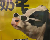 认养一头牛“找工作 直接跟老板哞”引争议 回应：致敬BOSS直聘！