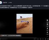 “长城 炮！”火遍全网 长城汽车：泼天的富贵终于轮到我们！