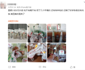 美团宣布即时零售日订单量突破1.5亿！网友：0元外卖吃不完喝不完！