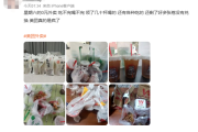 美团宣布即时零售日订单量突破1.5亿！网友：0元外卖吃不完喝不完！