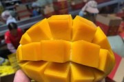 芒果的营养价值及禁忌（了解芒果的营养价值和食用禁忌）