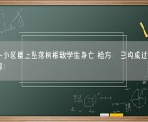 广西一小区楼上坠落树根致学生身亡 检方：已构成过失致人死亡罪！