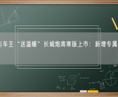 为北方车主“送温暖”长城炮高寒版上市：新增专属加热套装！