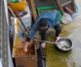 家中无人邻居疑似上门偷鸡偷蛋 去年拿走过几次蛋！