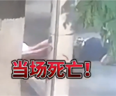 男子醉酒后骑电动车头撞大树：因没戴头盔当场身亡!