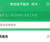 2024年高考出分！今起多地省份可查：微信、支付宝查分攻略来了！
