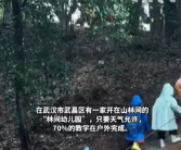 武汉一幼儿园上课70%时间在巡山 走平衡木、跳马、爬山是每日必修课!