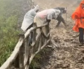 下雨天爬武功山一爬一个不吱声 到底啥情况