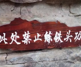 外出游玩要注意安全！女子在景区提醒禁练铁头功处撞破头缝了5针！