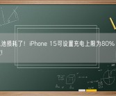 不怕电池损耗了！iPhone 15可设置充电上限为80% 显示循环次数!