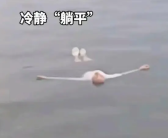 女子不慎落入西湖 机智“躺平”求救！