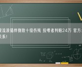 男子被流浪猫绊倒致十级伤残 投喂者判赔24万 官方：构成饲养关系！