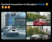 国产车企加油！马斯克母亲来上海 傲娇秀儿子成绩：上海到处都是特斯拉!