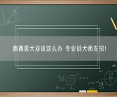 路遇恶犬应该这么办 专业训犬师支招！