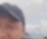 黄山飞虫成灾直扑人脸 景区回应来了！