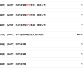 负债千亿！苏宁系公告破产重整引围观：官方回应!