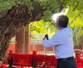 男子掐掉千年银杏树叶只为博女伴一笑 景区回应来了！