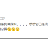 张雪峰因“文科都是服务业”言论被起诉：法院已立案!