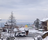 四川蒙顶山景区“一夜白头”：古树都已换上银装!